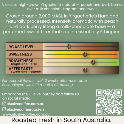 Ethiopia - Yirgacheffe Haro - Single Origin Coffee